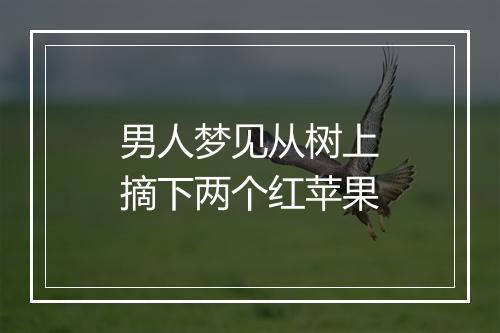 男人梦见从树上摘下两个红苹果