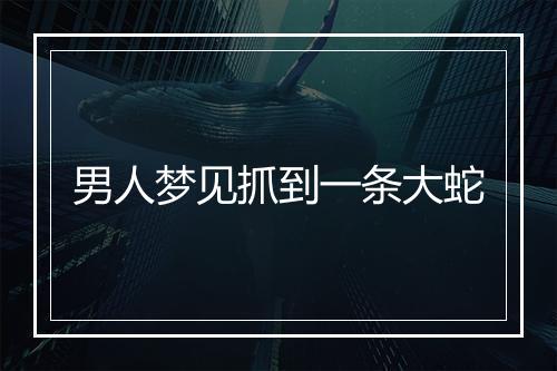 男人梦见抓到一条大蛇