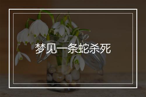 梦见一条蛇杀死