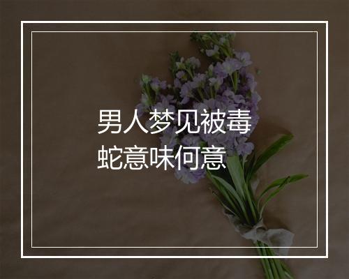 男人梦见被毒蛇意味何意