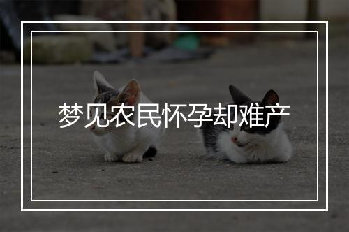 梦见农民怀孕却难产