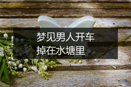 梦见男人开车掉在水塘里