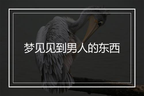 梦见见到男人的东西