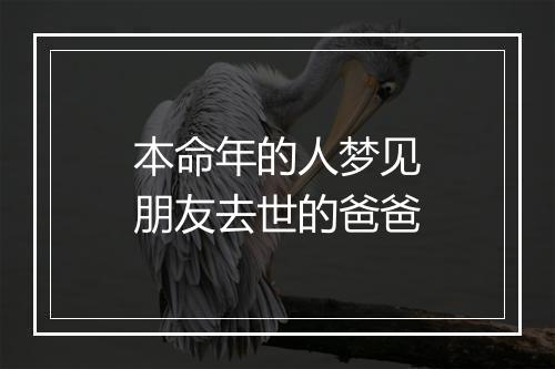 本命年的人梦见朋友去世的爸爸