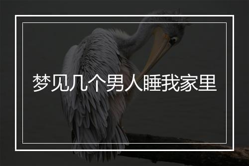 梦见几个男人睡我家里