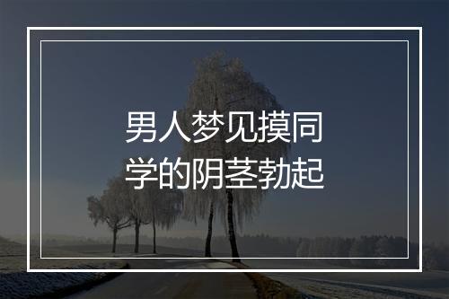 男人梦见摸同学的阴茎勃起