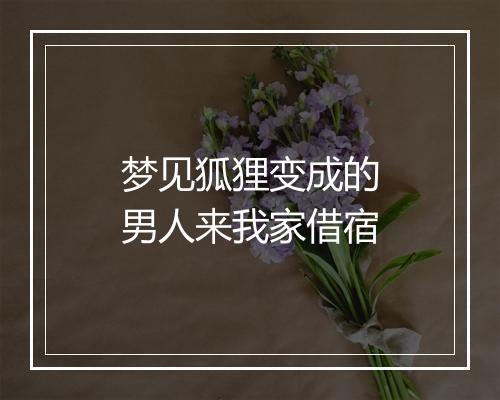 梦见狐狸变成的男人来我家借宿