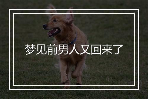 梦见前男人又回来了