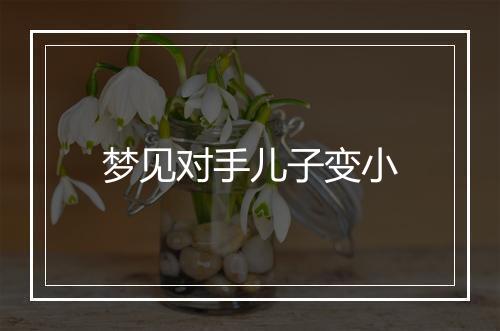 梦见对手儿子变小