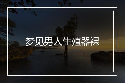 梦见男人生殖器裸