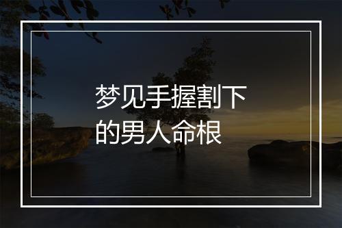 梦见手握割下的男人命根