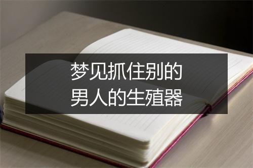 梦见抓住别的男人的生殖器