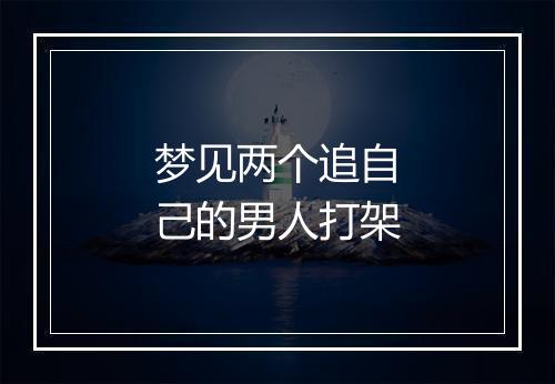 梦见两个追自己的男人打架