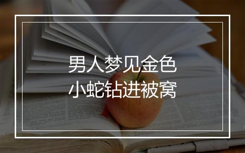 男人梦见金色小蛇钻进被窝