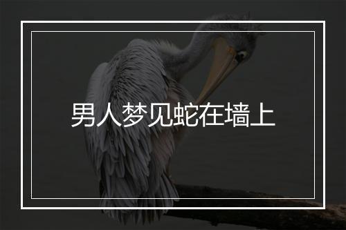 男人梦见蛇在墙上