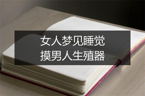 女人梦见睡觉摸男人生殖器