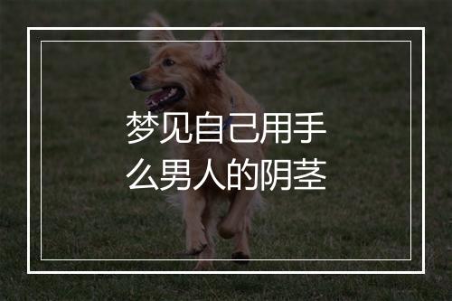 梦见自己用手么男人的阴茎