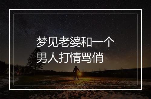 梦见老婆和一个男人打情骂俏