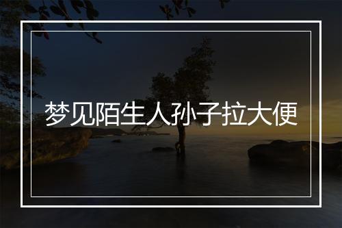 梦见陌生人孙子拉大便