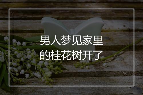 男人梦见家里的桂花树开了