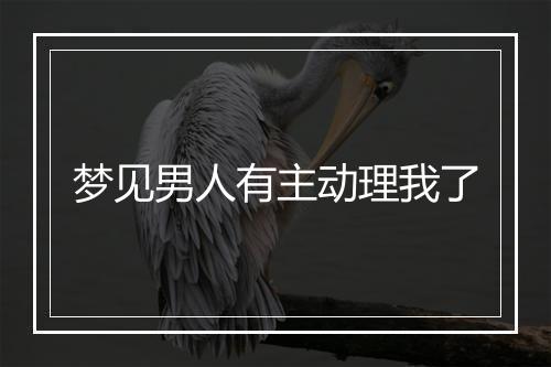 梦见男人有主动理我了