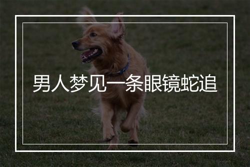 男人梦见一条眼镜蛇追