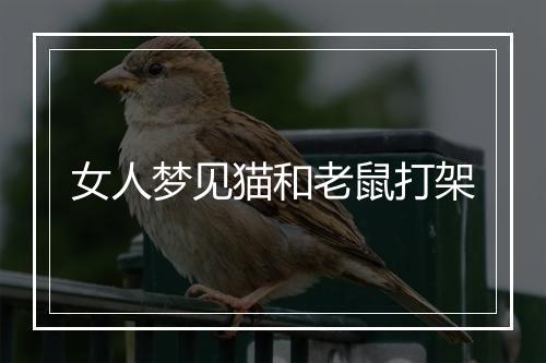 女人梦见猫和老鼠打架