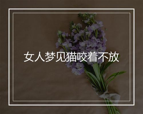 女人梦见猫咬着不放