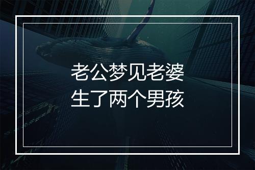 老公梦见老婆生了两个男孩