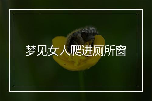 梦见女人爬进厕所窗