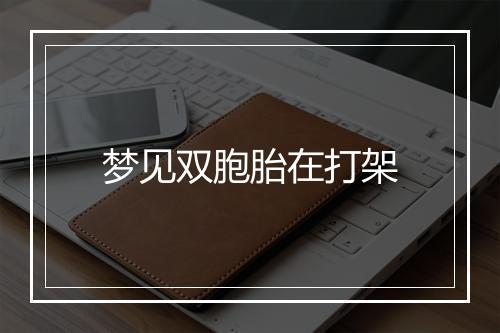 梦见双胞胎在打架