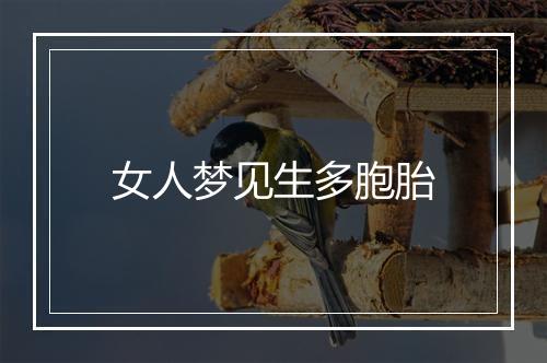 女人梦见生多胞胎