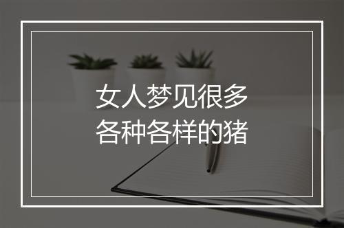 女人梦见很多各种各样的猪