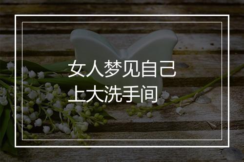 女人梦见自己上大洗手间