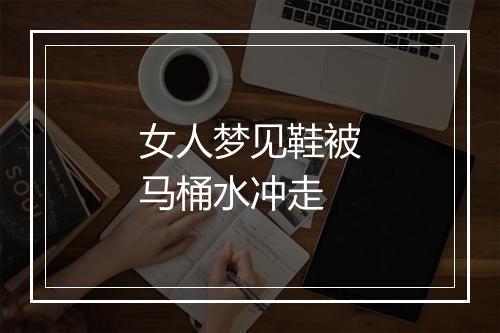 女人梦见鞋被马桶水冲走