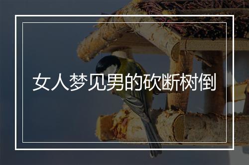 女人梦见男的砍断树倒