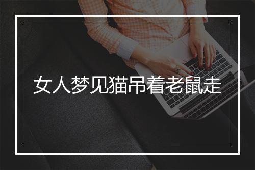 女人梦见猫吊着老鼠走