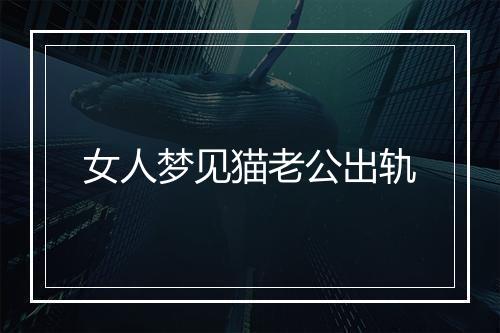 女人梦见猫老公出轨