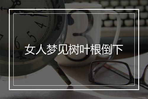 女人梦见树叶根倒下