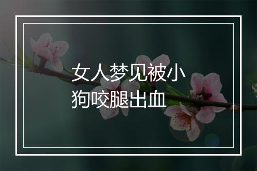 女人梦见被小狗咬腿出血