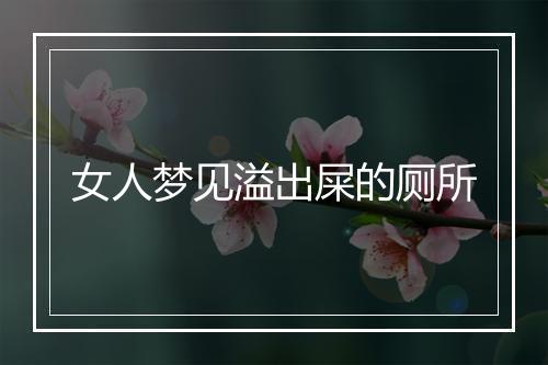 女人梦见溢出屎的厕所