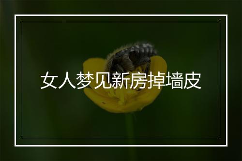 女人梦见新房掉墙皮