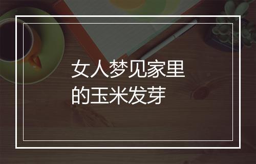 女人梦见家里的玉米发芽