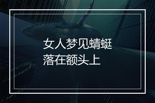 女人梦见蜻蜓落在额头上