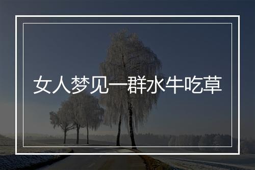 女人梦见一群水牛吃草