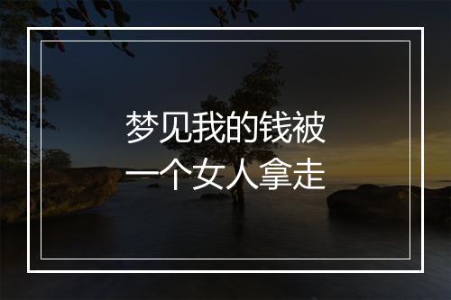 梦见我的钱被一个女人拿走