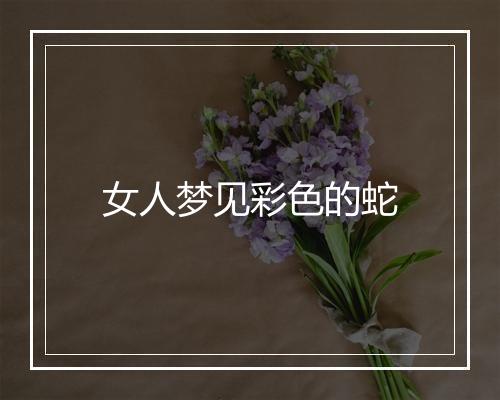 女人梦见彩色的蛇