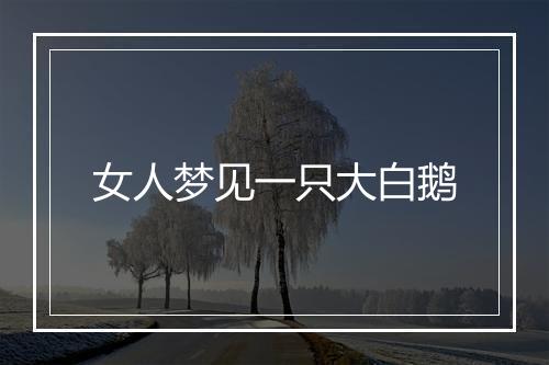 女人梦见一只大白鹅