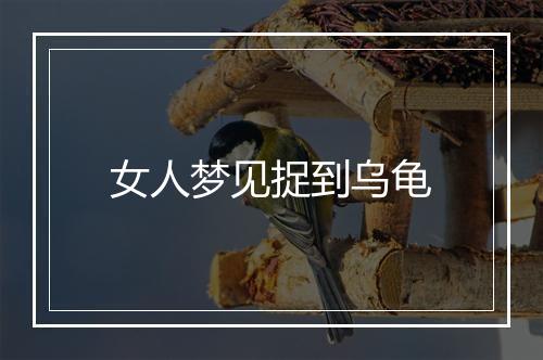 女人梦见捉到乌龟