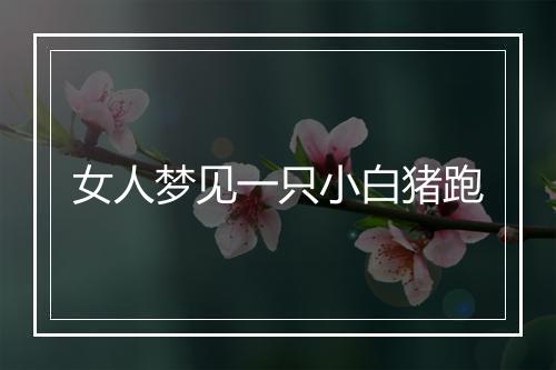 女人梦见一只小白猪跑